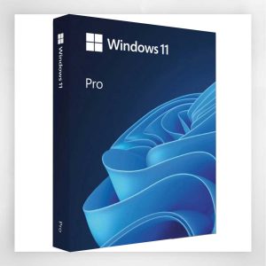 Windows 11 Professional